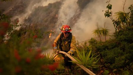 क्यालिफोर्नियाको डढेलो; कैदीहरूको सक्रियता र विनाशको तथ्यांक