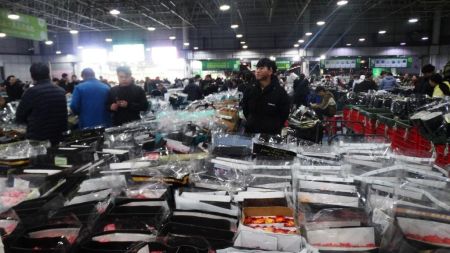 चीनको नक्कली सामान व्यापार: विश्व बजारमाथि प्रहार वा व्यापारिक रणनीति?