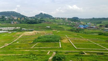 तराईमा घरजग्गा कारोबारमा उल्लेख्य वृद्धि, झापा-मोरङ-सुनसरीमा मूल्य आकासिने संकेत
