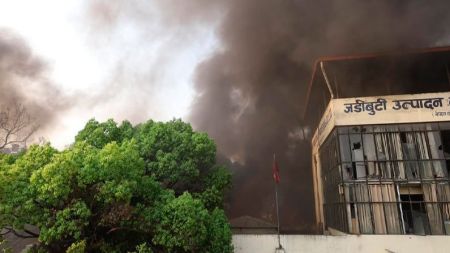 जडीबुटी उत्पादन कम्पनीमा आगजनी, सुरक्षाकर्मी पुग्न सकेनन् 