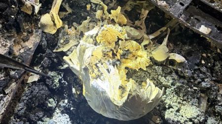 भाटभटेनीको दोस्रो तल्लाबाट जलेको एक  शव फेला