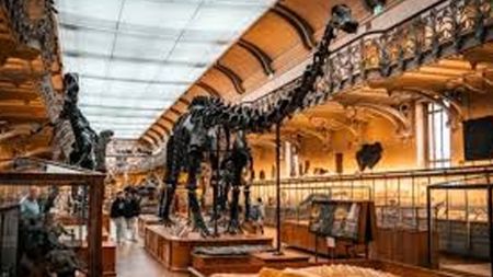 पेरिसमा ऐतिहासिक संग्रहालय लुटियो! लाखौँ युरो बराबरको चोरी!