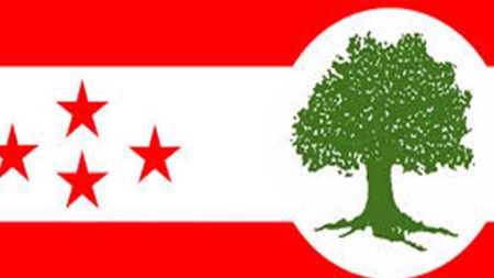 ओखलढुंगाका ११ महाधिवेशन प्रतिनिधिद्वारा नेपाली कांग्रेसमा विशेष महाधिवेशन आह्वानको माग